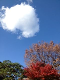 ピラティスの効用 恵美の英語教室社長日記 コーチング A