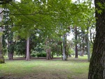 IMG_20220722_145530