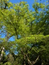 PXL_20260416_071236373