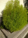 IMG_20220801_082318