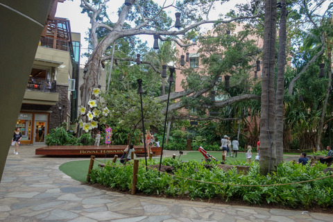 20190413-DSC03250