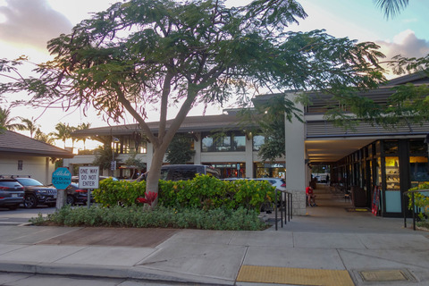 20190411-DSC03086