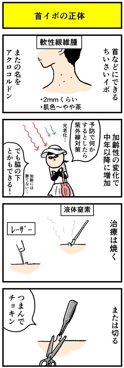 498ibo