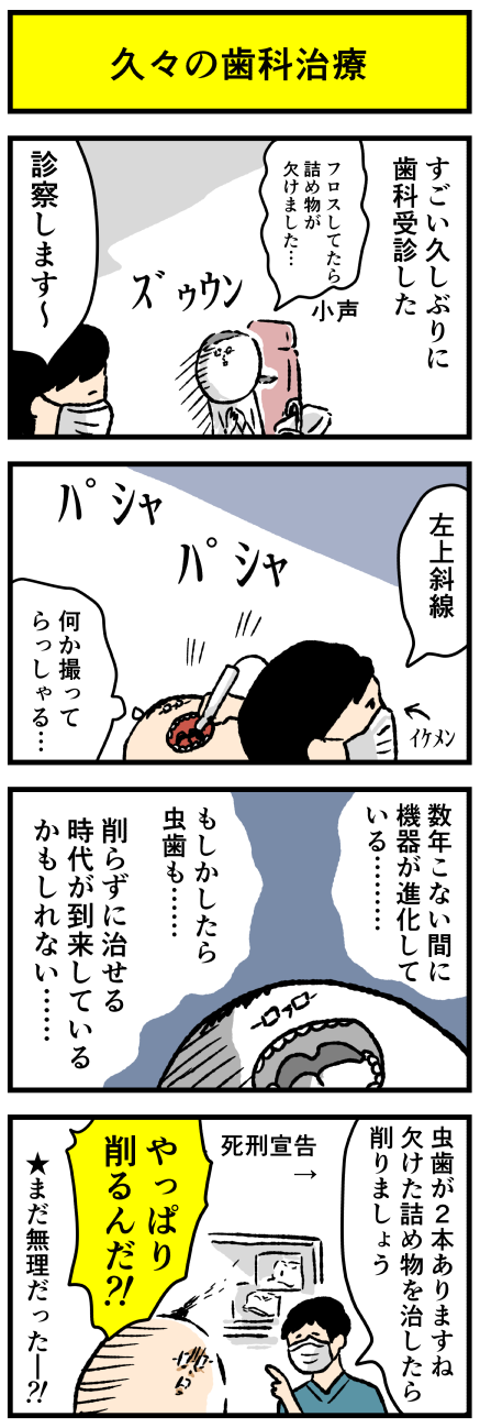 d305ha