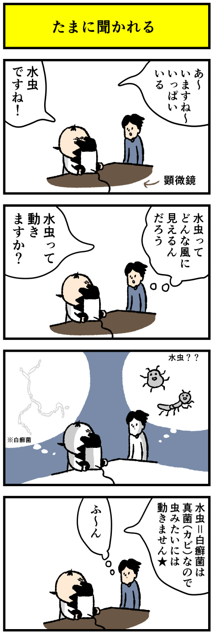 20190623_202901