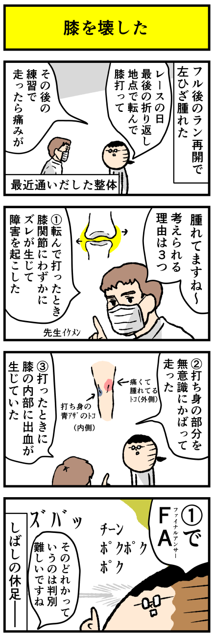 d356se