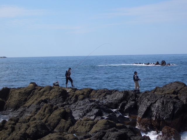 山形県庄内へ 待ちきれず初秋の磯真鯛釣行 東北の磯釣り Iwakoshi World 迷釣海web Log