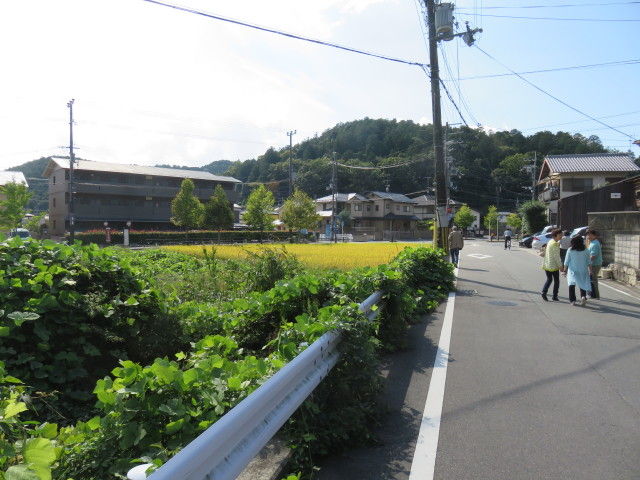 イメージ 12