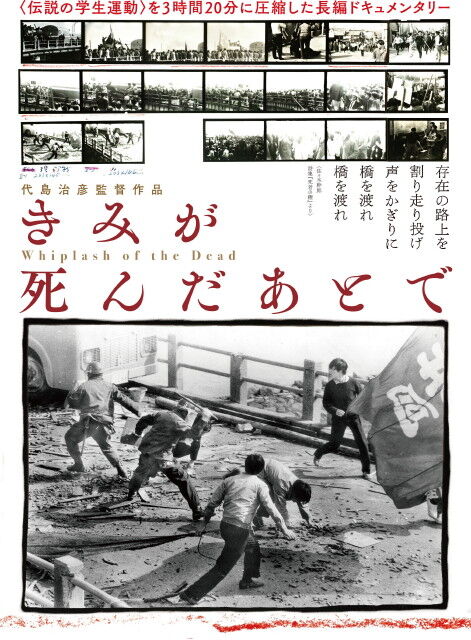 大学教授紳士録・左翼篇―全国244大学・学部別総点検 (1984年
