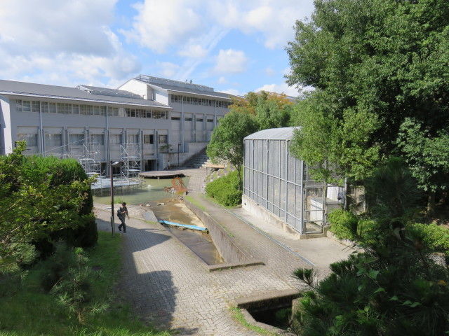 イメージ 6