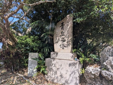 画像8