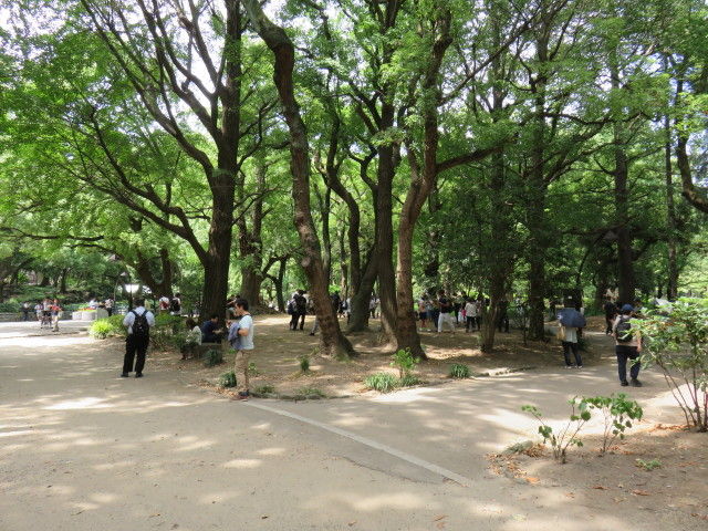 イメージ 2