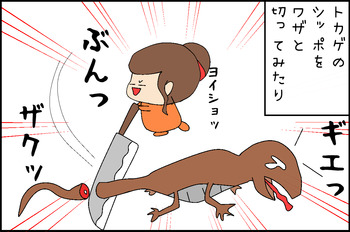 06263