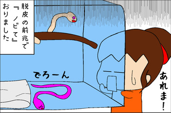 08202