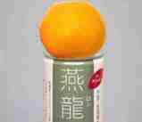 アルミ缶の上にあるみかん