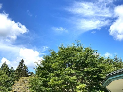 わかってます、宿題ですよね