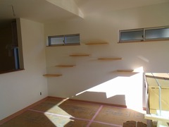 DSCF0099