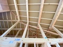 IMG_1055