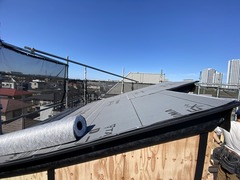IMG_9467