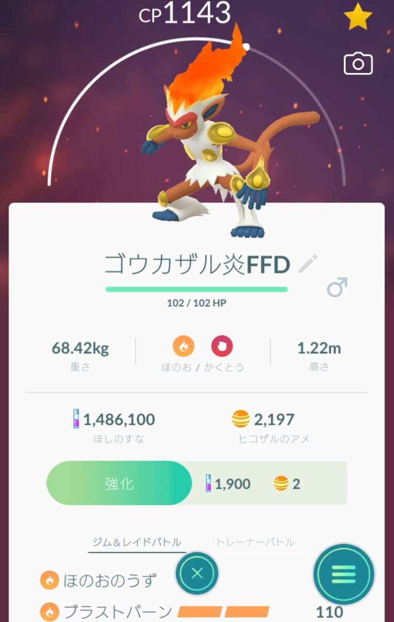 ヒコザル少し捕まえてきた Going My Way