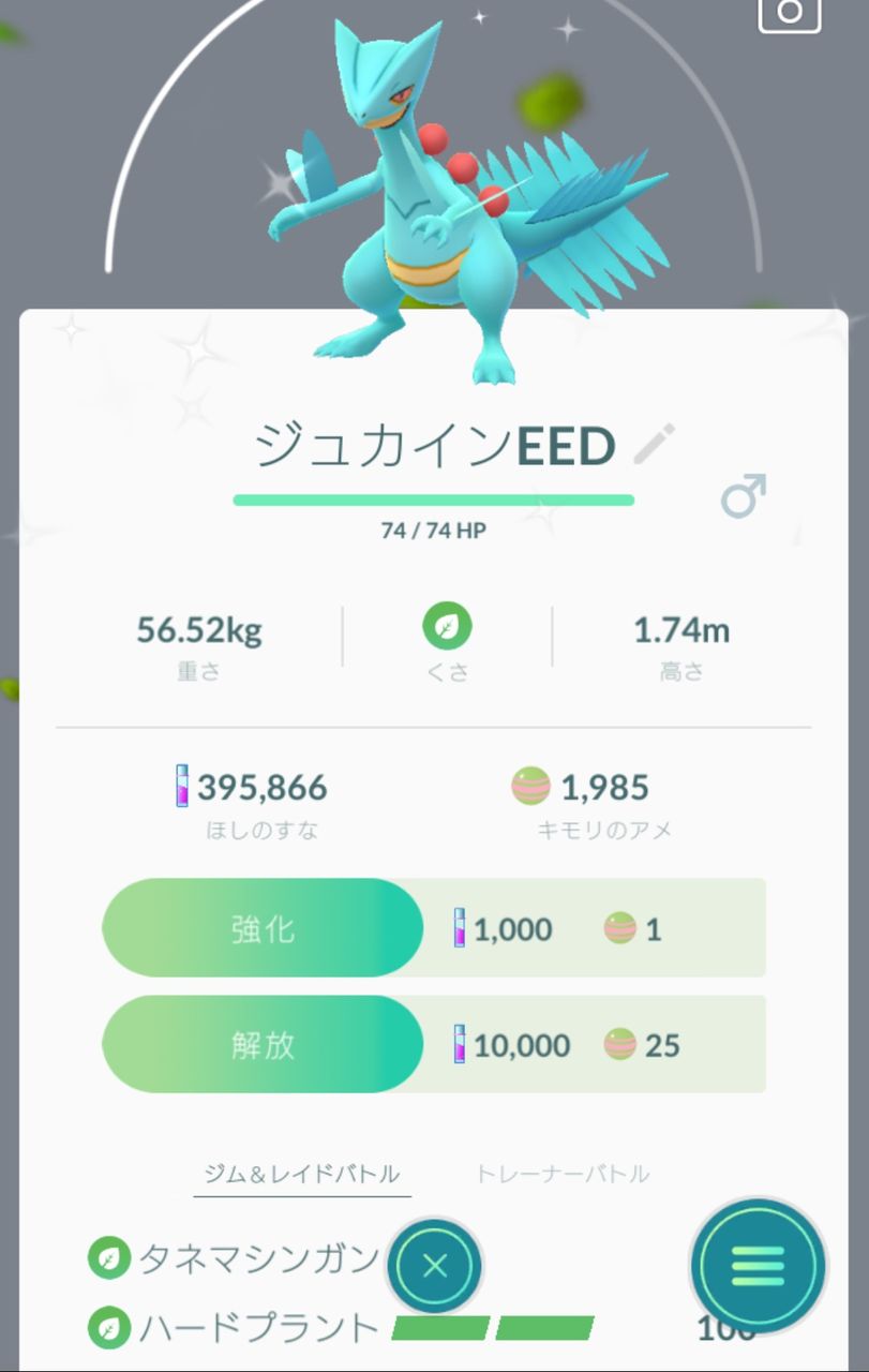 キモリいっぱい捕まえてきた Going My Way キモリいっぱい捕まえてきた Going My Way