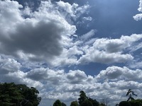 IMG_1298