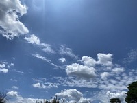 IMG_1291