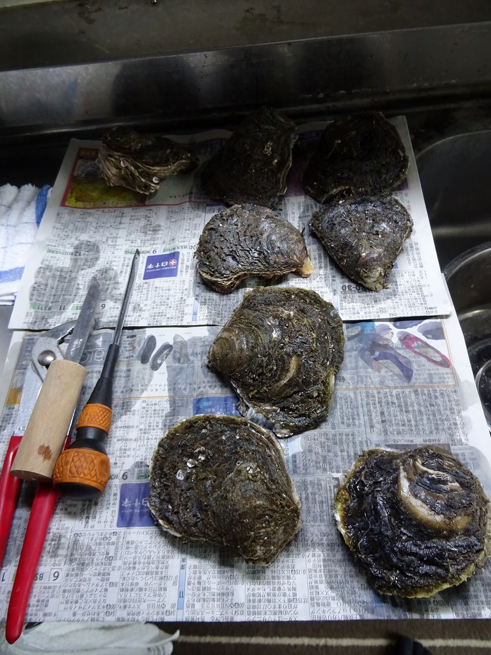 16年 飯岡磯牡蠣祭り日記 セツガン速 16年 飯岡磯牡蠣祭り日記 セツガン速