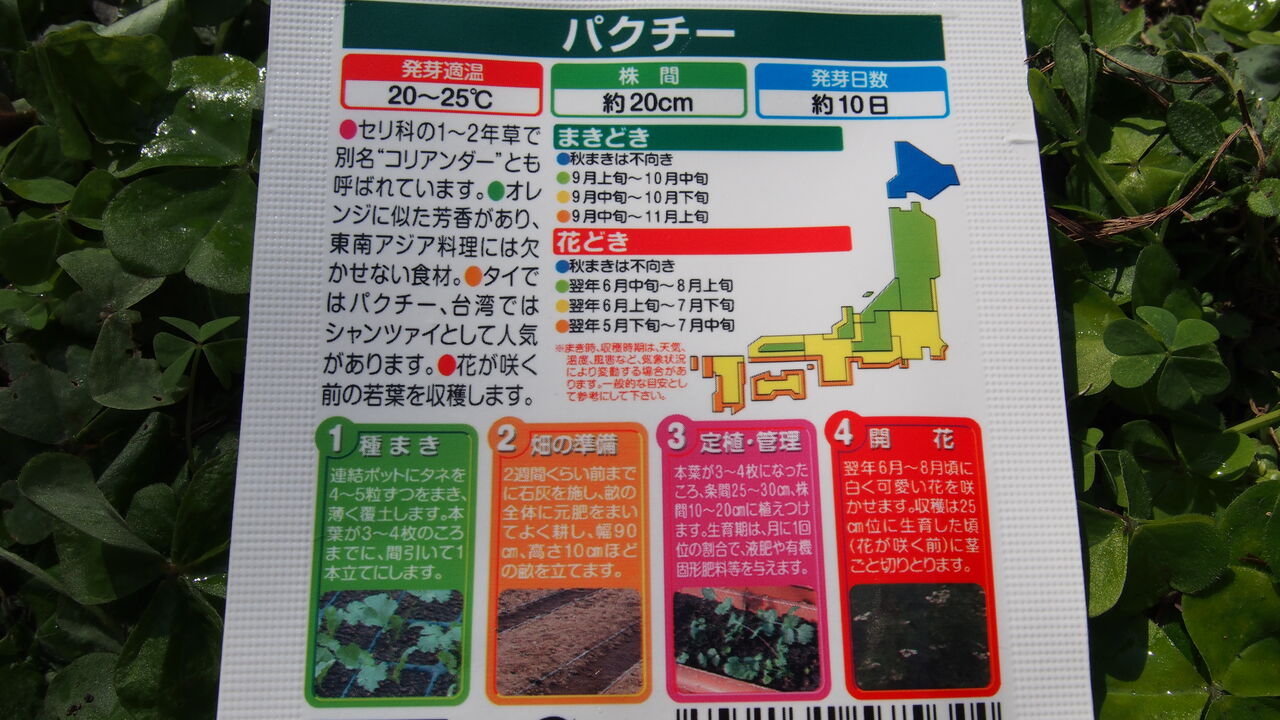そうだ パクチーを育ててみよう パクチー日記 種をまく 好吃 好酒 好台湾