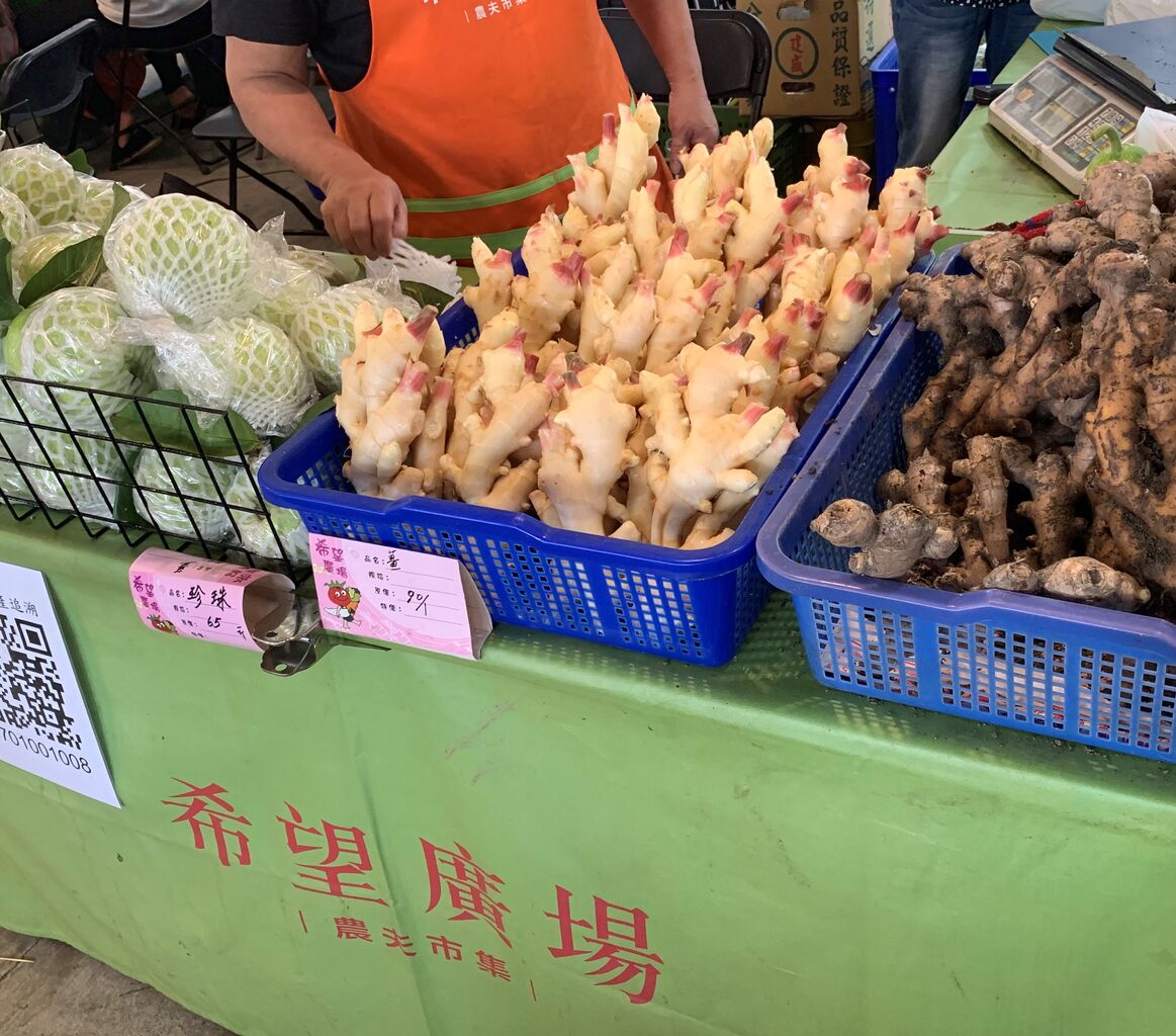 ビックリ 岩下の新生姜は台湾産ショウガ 本島姜 使用 心地良い辛さの酢漬け 好吃 好酒 好台湾