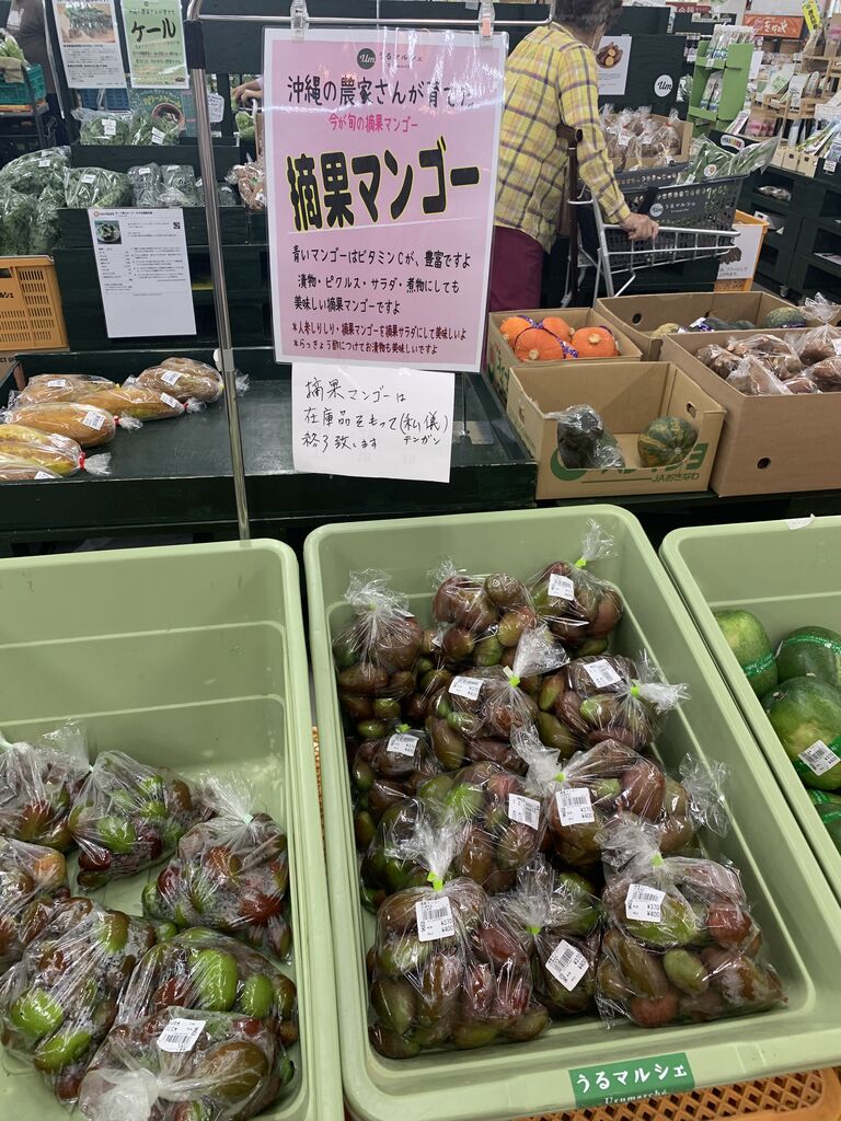 摘果マンゴー、青マンゴー16kg箱込み 沖縄県産 摘果マンゴー/青マンゴー約15kg【常温便無料】①