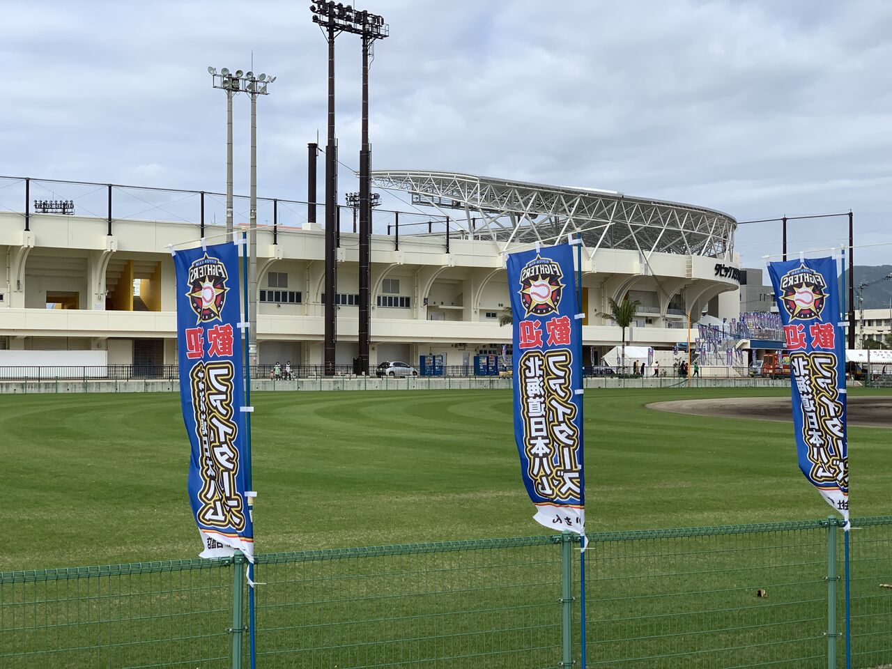 台湾では春を告げるバウヒニア 羊蹄木 大花蘇芯花 香港蘭 沖縄の冬は終わり間近 好吃 好酒 好台湾 台湾では春を告げるバウヒニア 羊蹄木 大花蘇芯花 香港蘭 沖縄の冬は終わり間近 好吃 好酒 好台湾