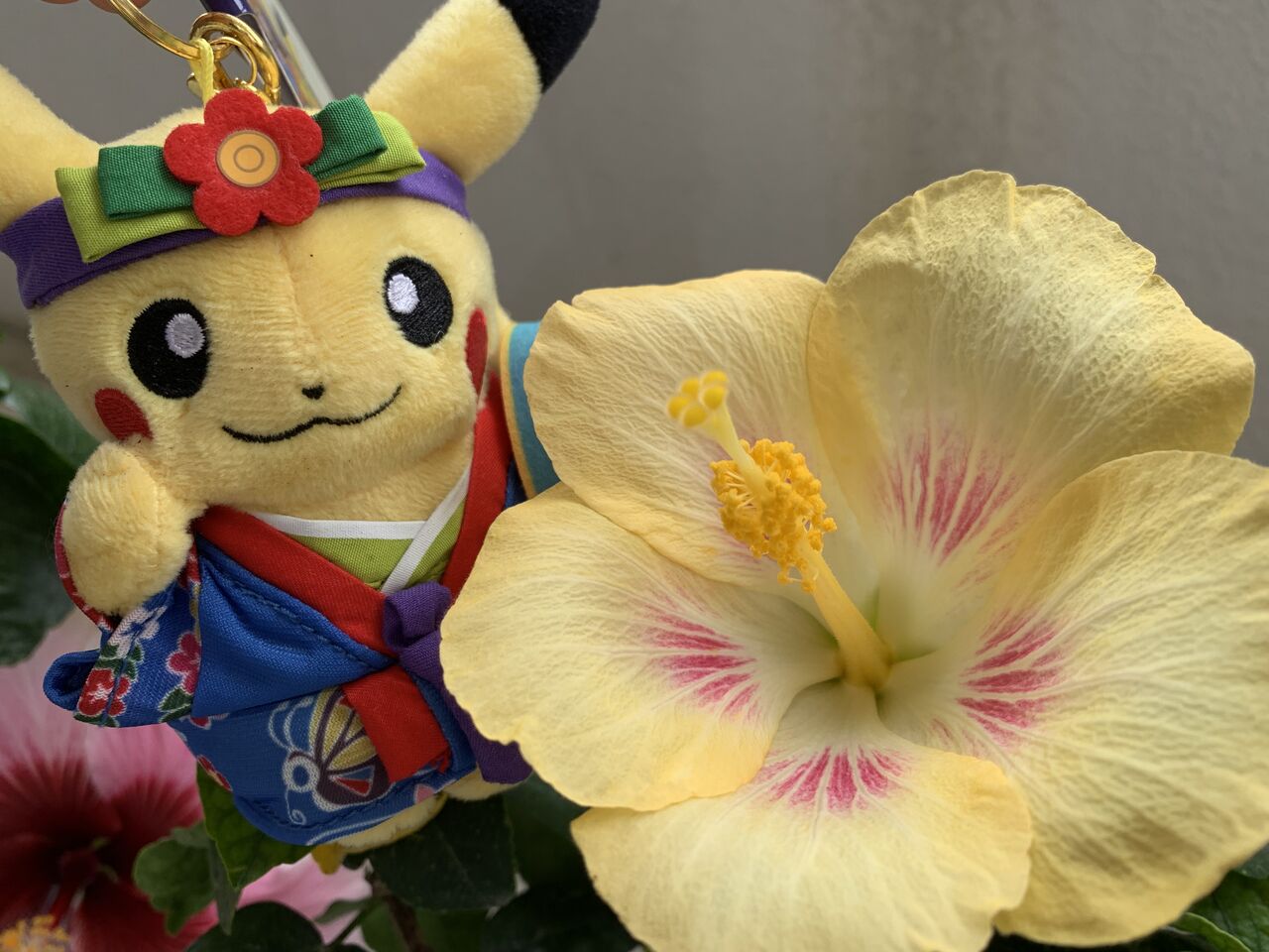 ピカチュウもびっくりの品種ピカチュウ(輝宙)は黄と赤の花びらが可愛い