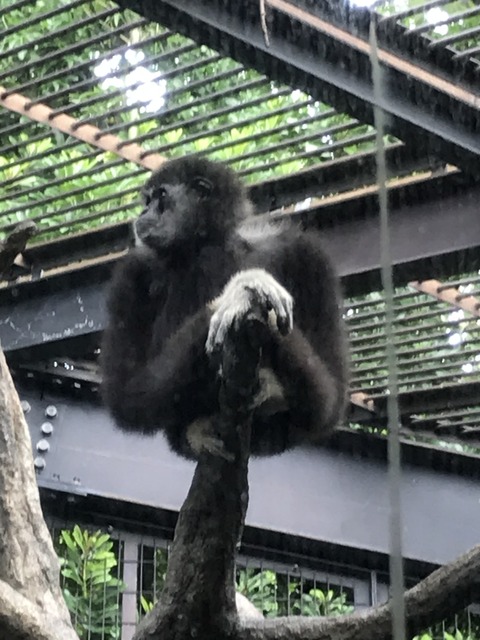 E68CB11F-9D15-4586-9CCE-05C54DE6E472