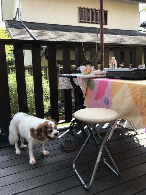 91F28E94-AAF3-4B0F-9C87-D8AB3168299D