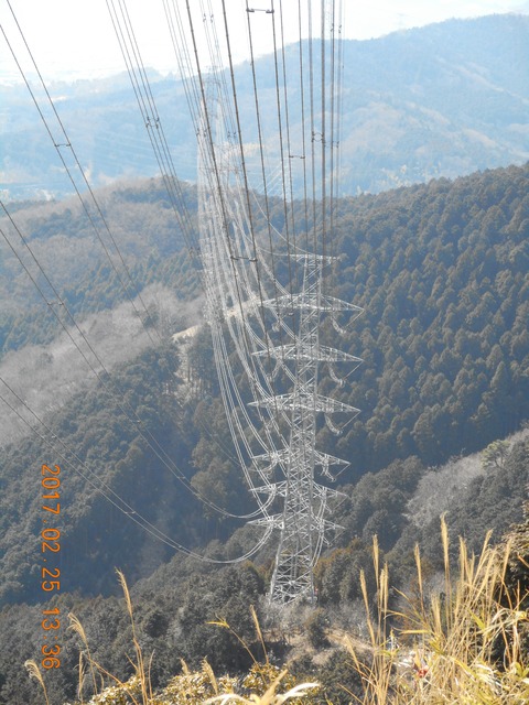 21大山から鶴巻 202