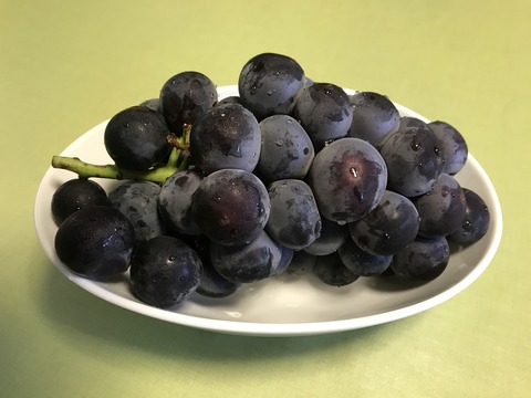 FD75E5D5-A477-4E99-8FB4-826275FAFA26