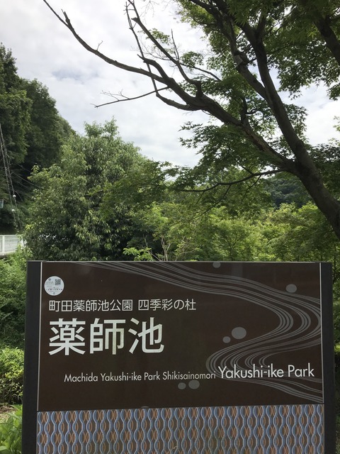 F40C82E7-2A1D-4F27-B2D5-4D2EAD8A9B0E