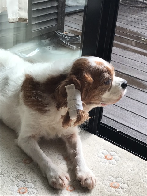 9B75F488-4136-4831-8B79-27D5D777F214