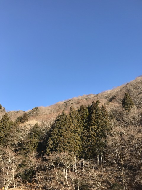 7285DF66-8849-4E82-BE82-257CB0C88166