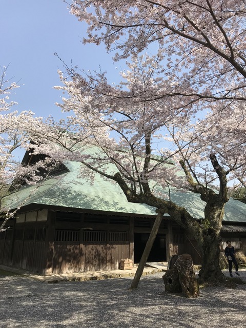 E2CD4976-4E97-4B7D-B7F8-853A786C55CE