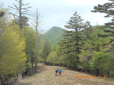 DSCN2876