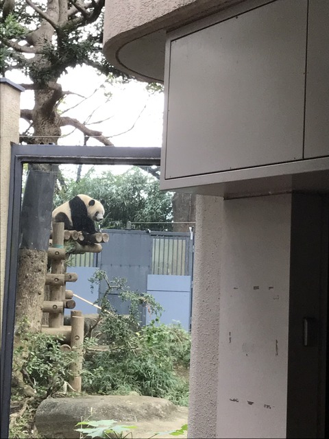 216620BE-A182-4678-82DE-FBC2AD50082F