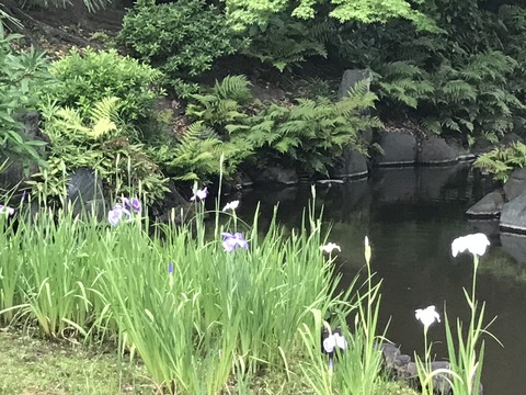 7E1E49B4-DE19-446F-9237-E8095FC30817