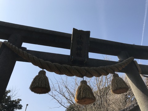 3B299CB6-6DE4-414B-B46A-AAF6C85C4A61