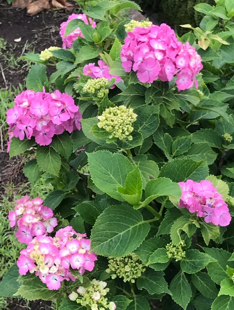 50FA3473-EB29-47B2-B3F6-D0A36BF18484