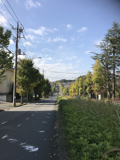 37A01EB2-F1E2-45F5-87E5-E22F14DC0EF4