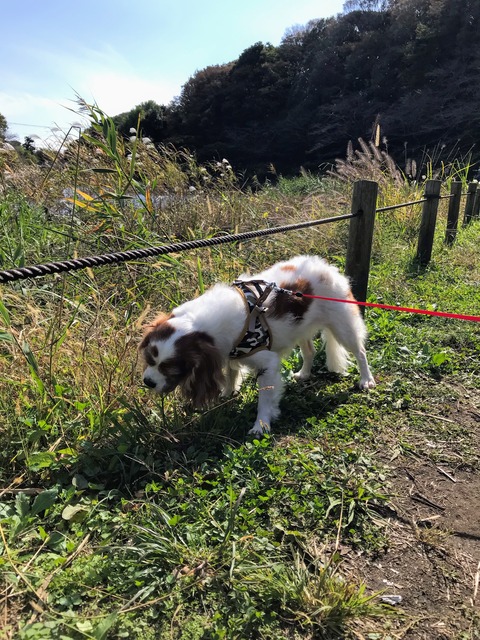 D53298AF-22BD-4CED-970F-B5F3D1280638