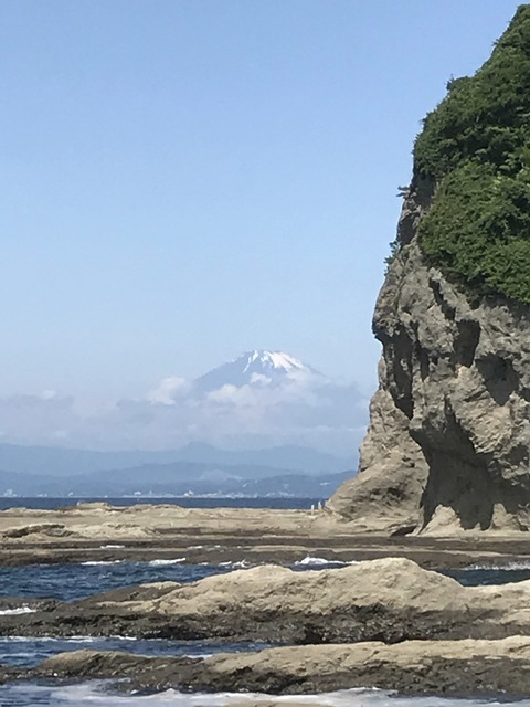 D9787744-E8F6-4C88-9B92-D88B64CA9332