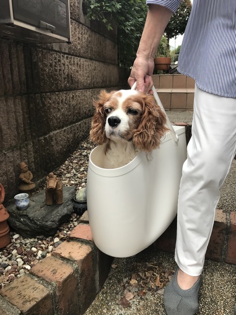 6C74F4B3-E4DE-41FB-B905-61BBC4DA2A6D